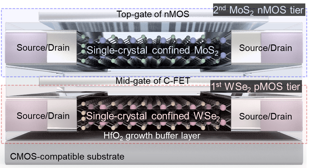 Schematic of a monolithically stacked 2D CFET with MoS2 and WSe2 gate-all-around channels